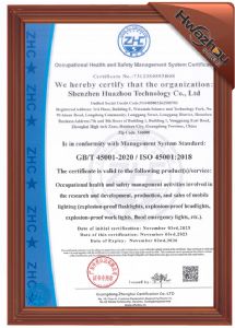 ISO45001职业健康管理体系英文